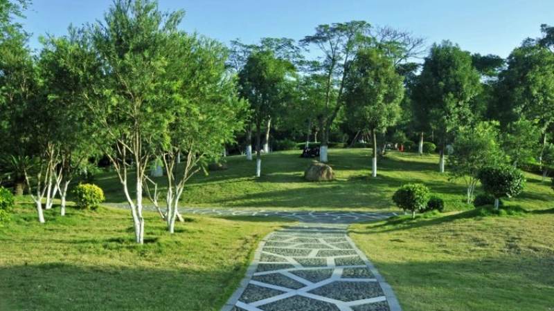 今年会 园林绿化土壤改良热点文章